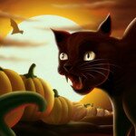 Хэллоуин – прячьтесь черные кошки!