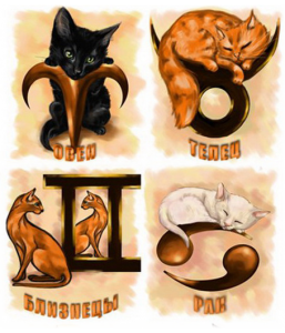 Кошачий гороскоп