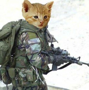 Кошки в Великую отечественную войну