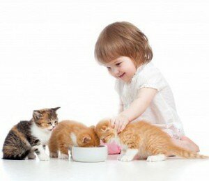 Кошки и дети