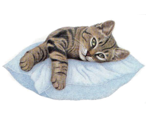 Подушка для кота
