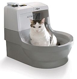 Самоочищающийся туалет для кошки