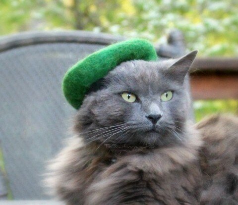 hats-for-cats-10