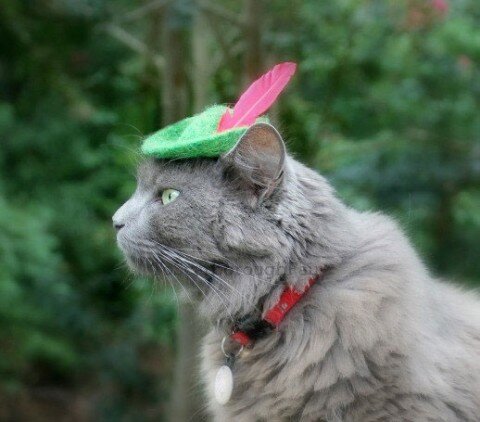 hats-for-cats-2