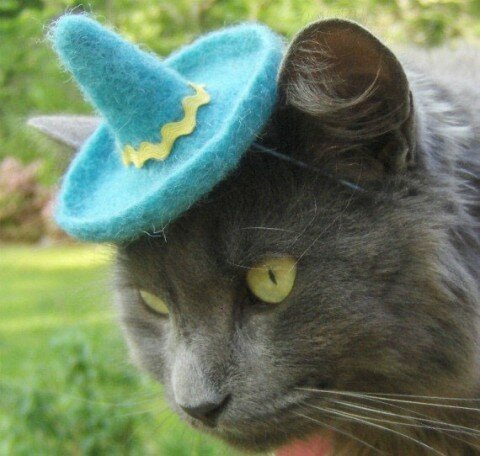 hats-for-cats-7