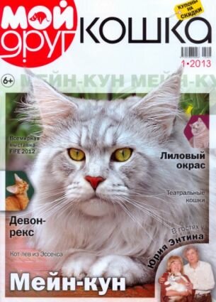 Мой друг кошка №1 2013
