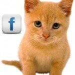 Кошки в Facebook