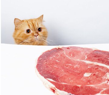 Сырое мясо для кота