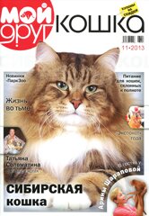 Мой друг кошка №11 2013