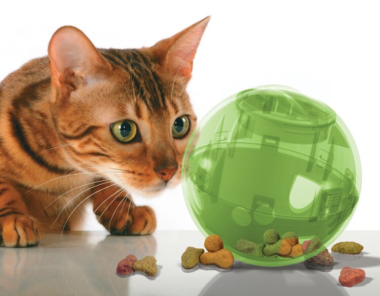 SlimCat - питательный шар для кошки
