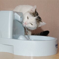 Автоматическая поилка для кошки