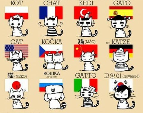 Кошки разных стран
