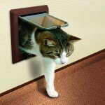 Дверца для кошки