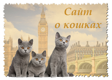 Сайт о Британских кошках
