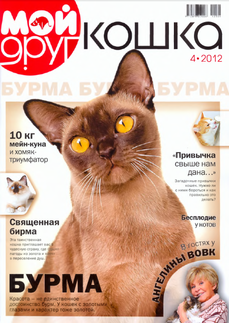 Бурманская кошка журнал