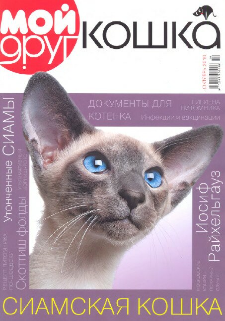 Сиамская кошка журнал