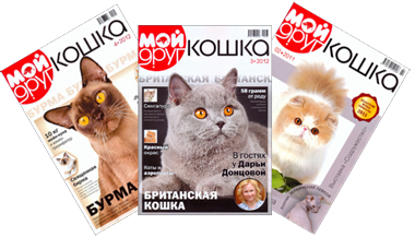 Журнал о кошках