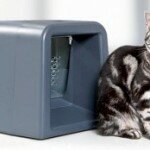 Электронная кормушка для кошек