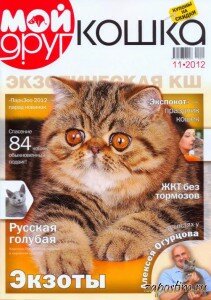 Мой друг кошка №11 2012