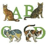 Алфавит для кошки