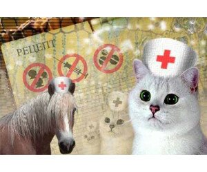 Зоотерапия – лечение животными