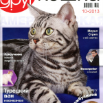 Мой друг кошка №10 2013