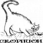Кошка Скорпион