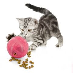 SlimCat - питательный шар для кошки