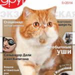 Мой друг кошка № 5 2014