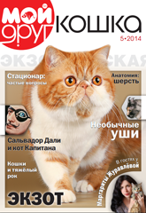 Мой друг кошка №5 2014
